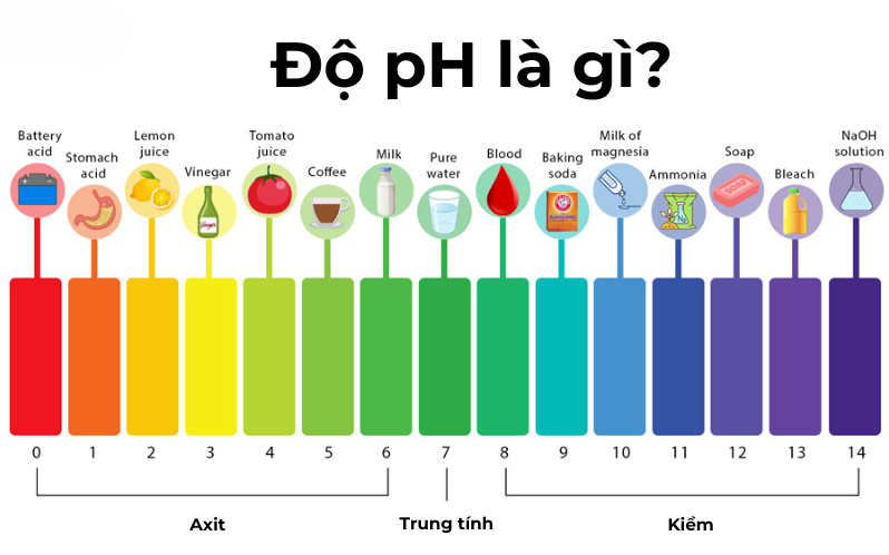 Độ pH là gì? Sự ảnh hưởng của độ pH đến chất lượng nước uống