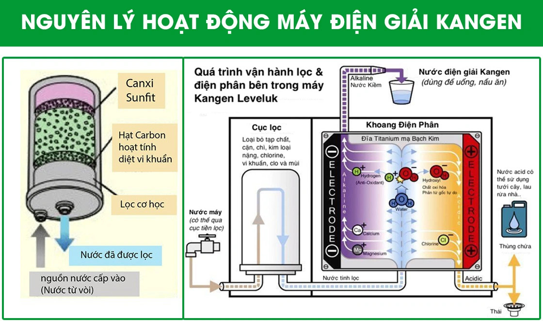Máy Kangen là gì? Những thông tin cơ bản bạn cần biết trước khi mua
