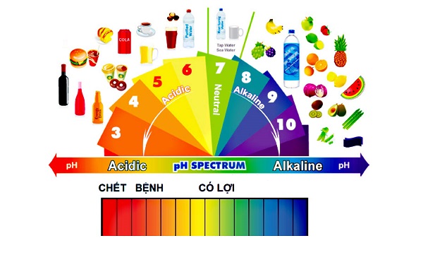 Độ pH là gì? Sự ảnh hưởng của độ pH đến chất lượng nước uống